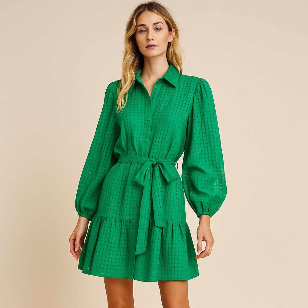 Entro NEW Green Textured Belted Long Sleeve Tiered Mini Dress Lined Size L